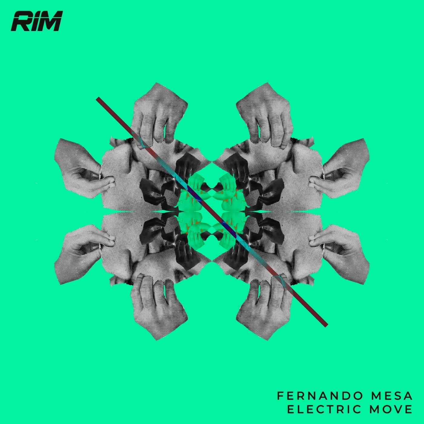 Fernando Mesa – Electric Move [RIM054]